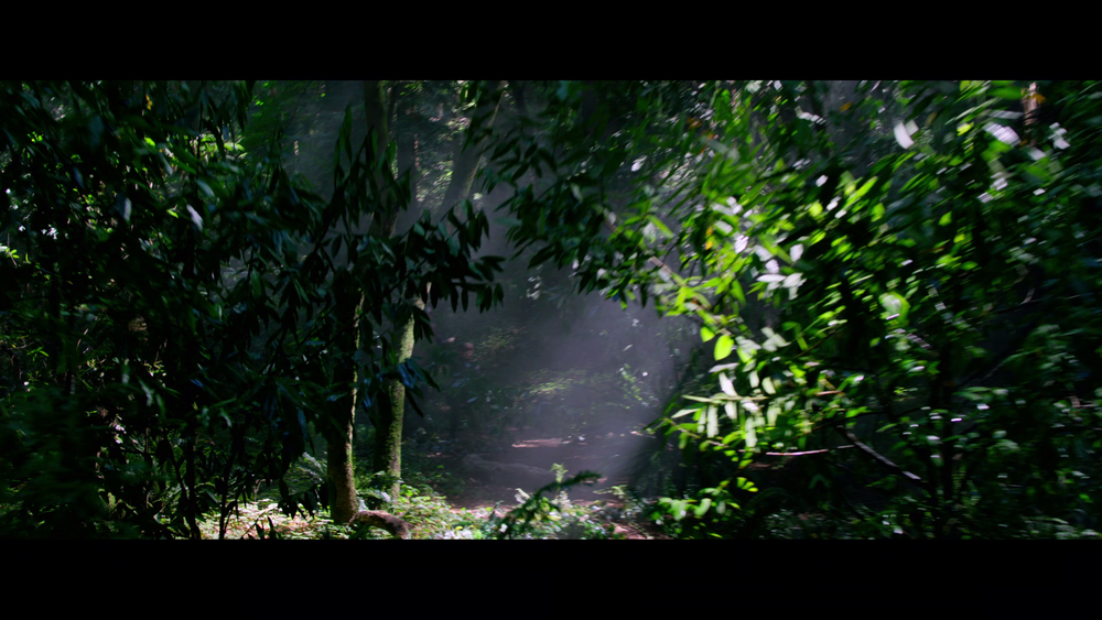 图片[7]-[BT下载][蒙上你的眼][WEB-MKV/12.97GB][简繁英字幕][4K-2160P][H265编码][流媒体][QuickIO]-影音屋