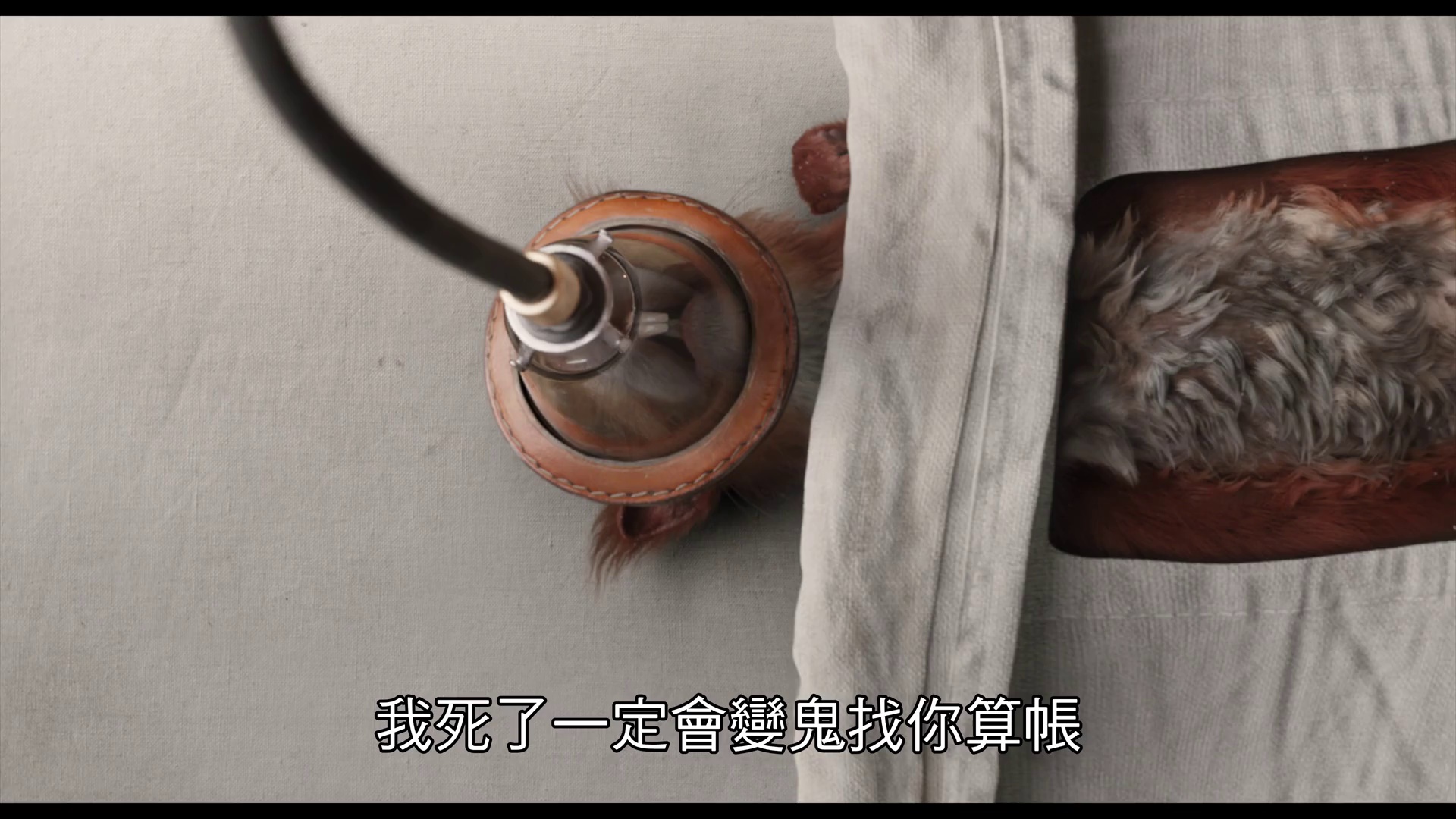 图片[2]-[BT下载][多力特的奇幻冒险][WEB-MKV/5.68GB][中文字幕][1080P][流媒体][DreamHD]-影音屋