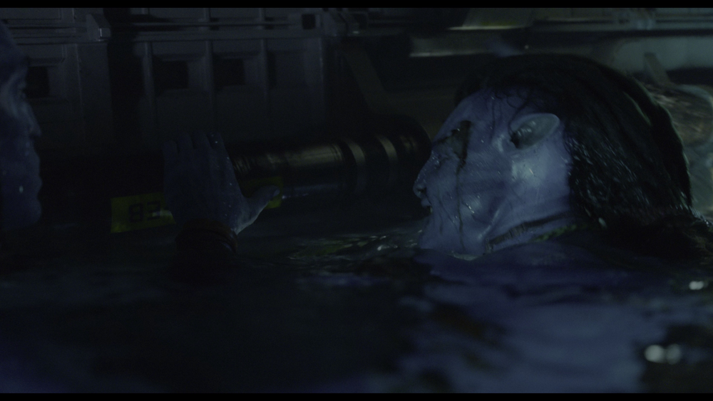 图片[7]-[BT下载][阿凡达：水之道][WEB-MKV/34.03GB][中文字幕][4K-2160P][HDR版本][H265编码][流媒体][PandaQT]-影音屋