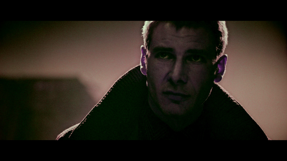 图片[2]-[BT下载][银翼杀手][WEB-MKV/20.34GB][简繁英字幕][4K-2160P][杜比视界版本][H265编码][流媒体][PandaQT]-影音屋