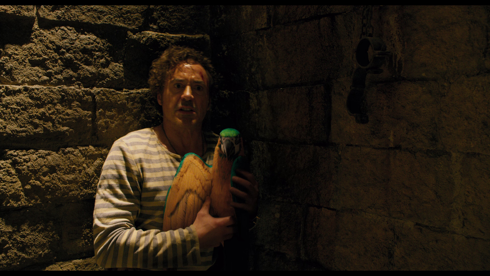 图片[5]-[BT下载][多力特的奇幻冒险][WEB-MKV/17.87GB][中文字幕][4K-2160P][H265编码][流媒体][PandaQT]-影音屋