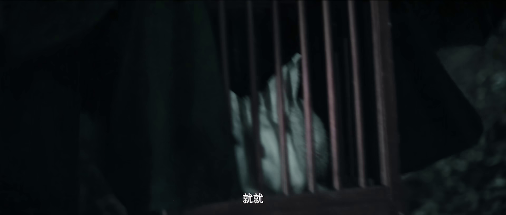 图片[2]-[BT下载][兔儿谣][WEB-MKV/2.90GB][国语配音/中文字幕][4K-2160P][H265编码][流媒体][PandaQT]-影音屋