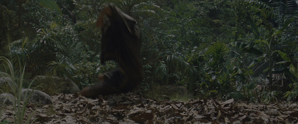 图片[5]-[BT下载][侏罗纪世界：重生][BD-MKV/28.02GB][中文字幕/特效字幕][4K-2160P][HDR+杜比视界双版本][H265编码][蓝光压制][DreamHD-影音屋