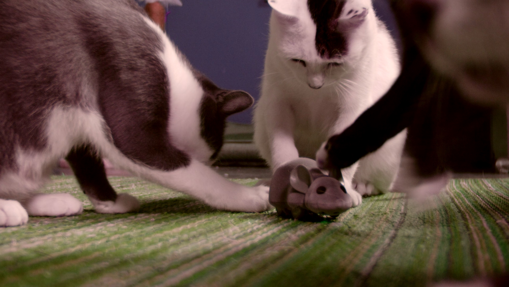 图片[6]-[BT下载][喵星人的奇思妙想][WEB-MKV/9.11GB][简繁英字幕][4K-2160P][杜比视界版本][H265编码][流媒体][QuickIO]-影音屋