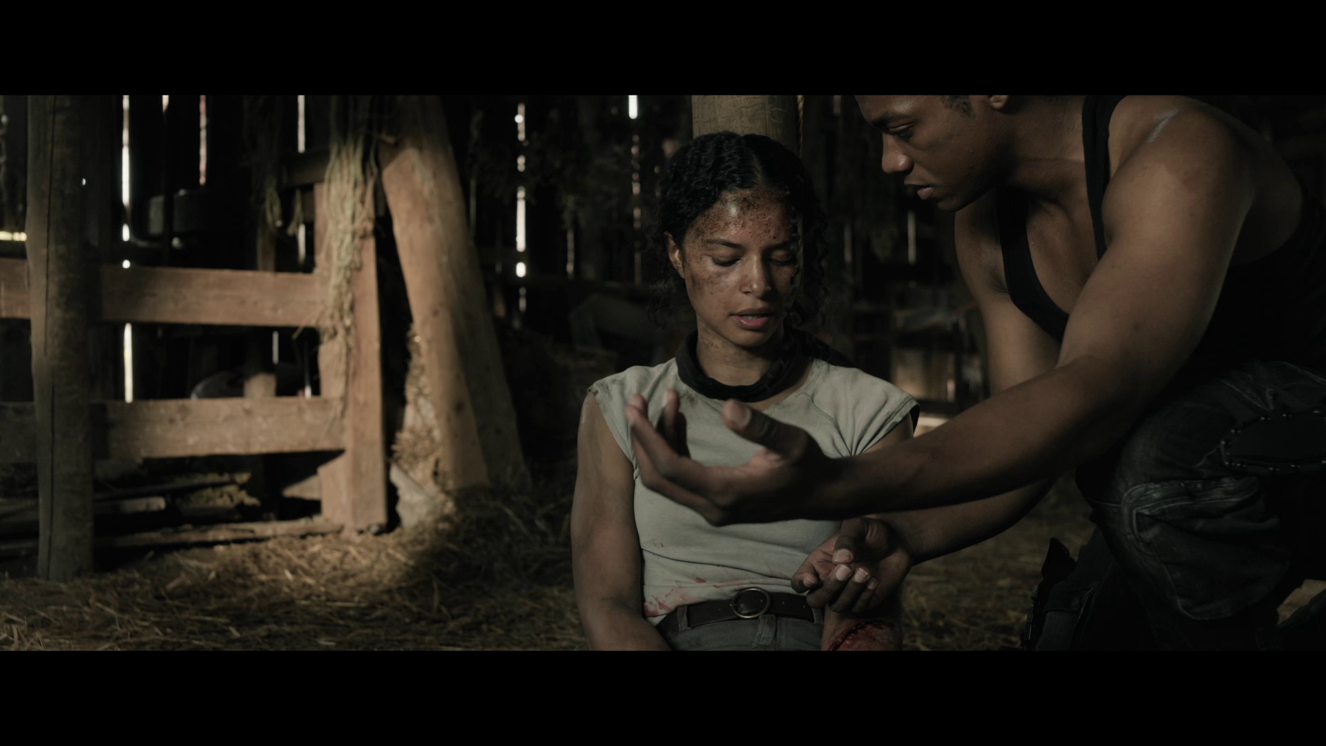 图片[4]-[BT下载][40英亩][BD-MKV/20.66GB][简繁英字幕][1080P][蓝光压制][DreamHD]-影音屋