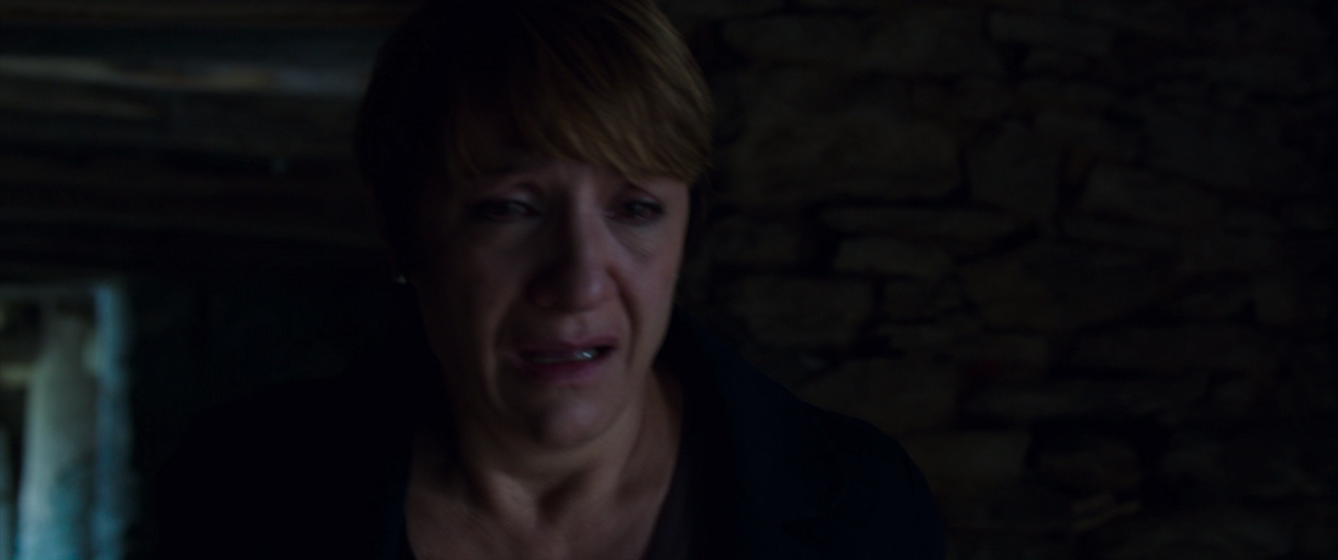 图片[7]-[BT下载][绑架][BD-MKV/5.25GB][中文字幕][1080P][H265编码][蓝光压制][DreamHD]-影音屋