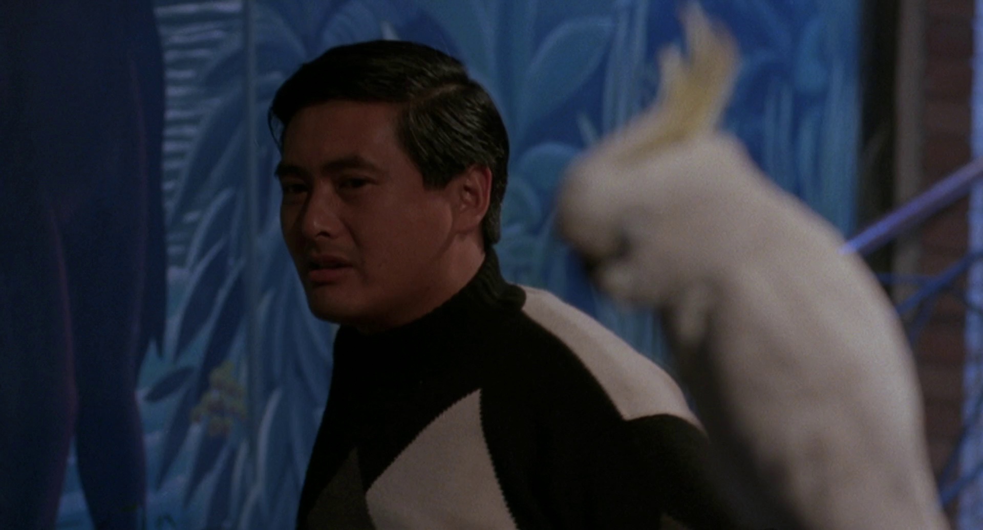 图片[5]-[BT下载][纵横四海][WEB-MKV/7.67GB][国语音轨/简繁英字幕][1080P][流媒体][PandaQT]-影音屋