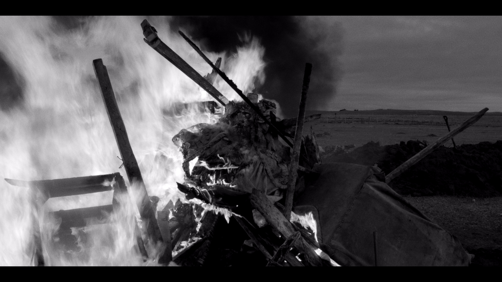 图片[7]-[BT下载][伯爵][WEB-MKV/15.50GB][简繁英字幕][4K-2160P][杜比视界版本][H265编码][流媒体][QuickIO]-影音屋