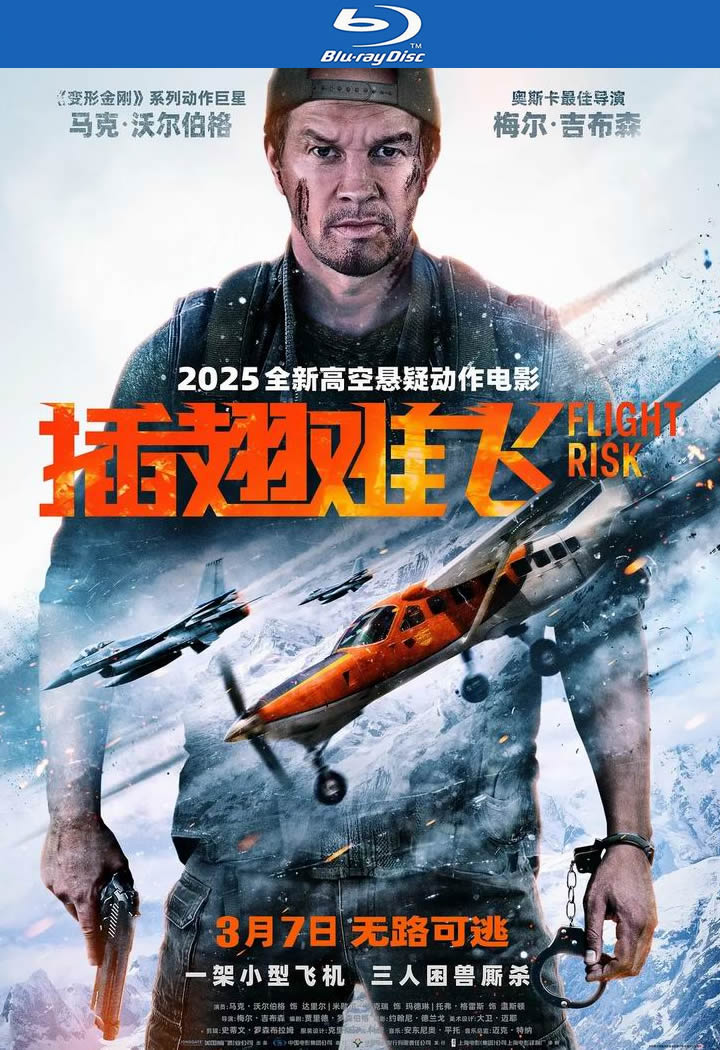 [BT下载][插翅难飞/失速机劫][BD-MKV/6G][英语中字][1080p][2025最新]-影音屋