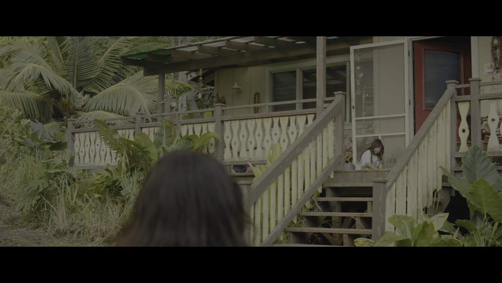 图片[2]-[BT下载][星际宝贝史迪奇][WEB-MKV/10.81GB][国英多音轨/简繁英字幕][4K-2160P][HDR版本][H265编码][流媒体][PandaQT]-影音屋