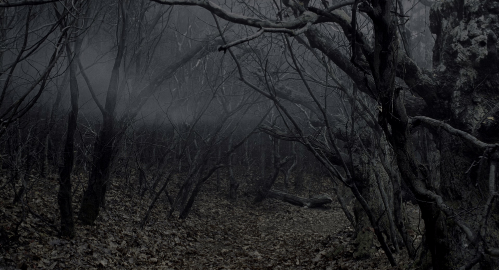 图片[4]-[BT下载][断头谷][BD-MKV/21.48GB][国英多音轨/简繁英字幕][4K-2160P][HDR+杜比视界双版本][H265编码][蓝光压制][ParkHD]-影音屋