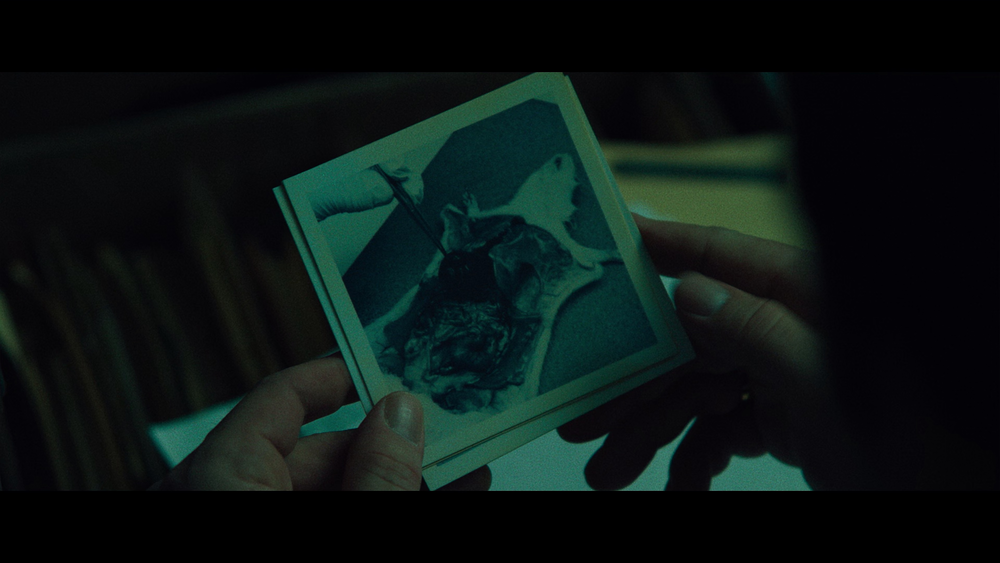 图片[4]-[BT下载][黑水][WEB-MKV/22.07GB][中文字幕][4K-2160P][H265编码][流媒体][PandaQT]-影音屋