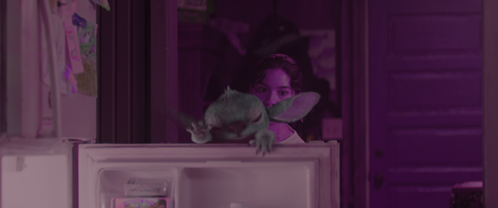 图片[4]-[BT下载][星际宝贝史迪奇][WEB-MKV/20.02GB][国粤英多音轨/简繁英双语字幕][4K-2160P][杜比视界版本][H265编码][流媒体][QuickI-影音屋