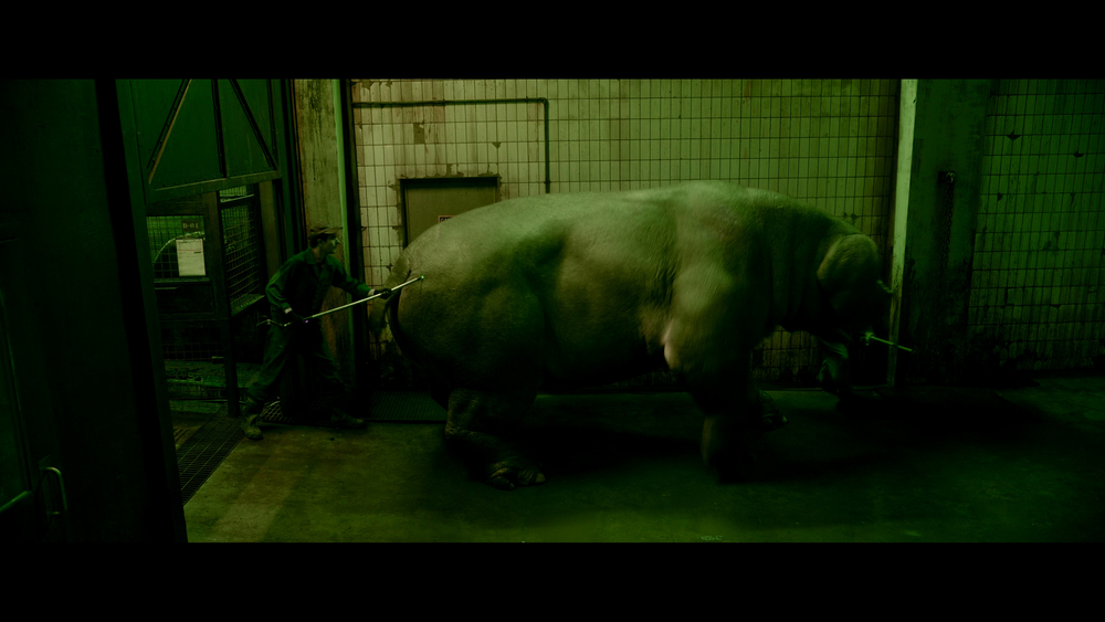 图片[5]-[BT下载][玉子][WEB-MKV/15.19GB][简繁英字幕][4K-2160P][杜比视界版本][H265编码][流媒体][QuickIO]-影音屋