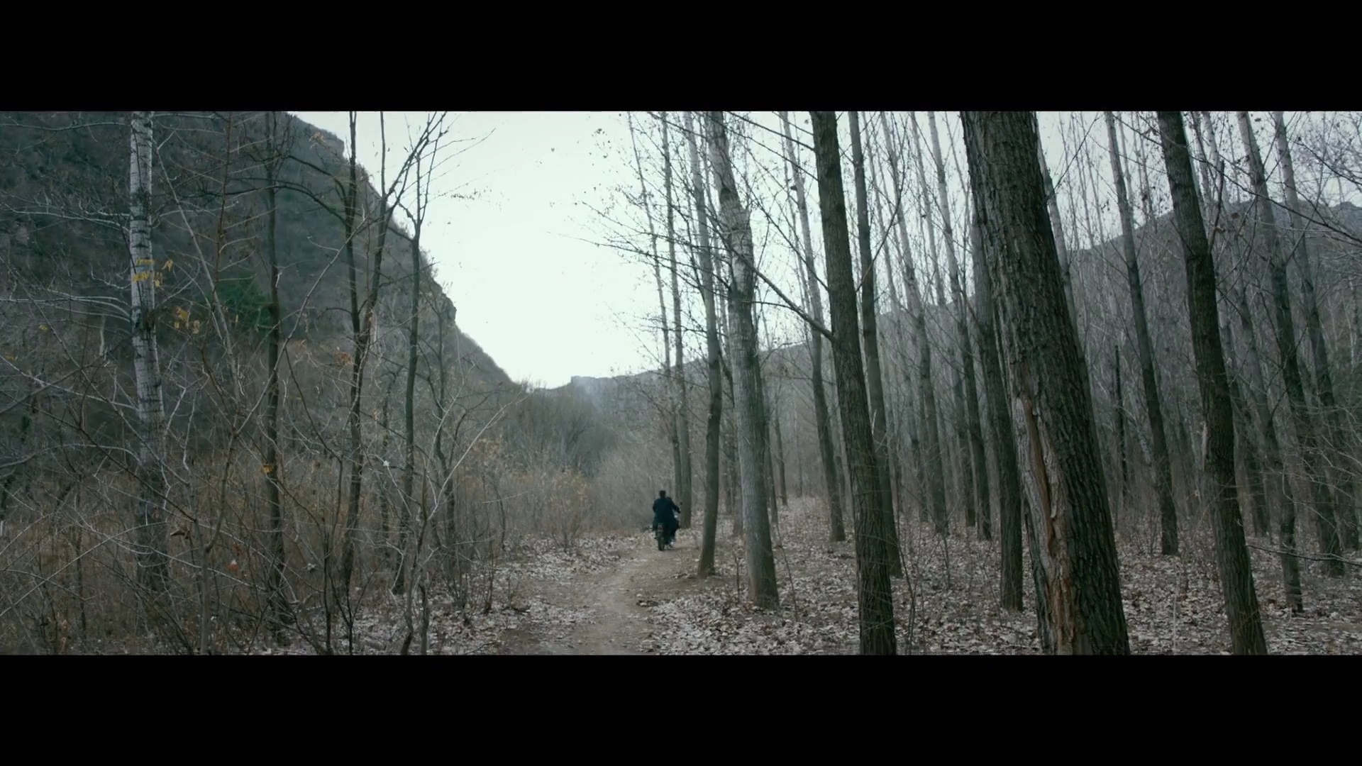 图片[2]-[BT下载][鼠王][WEB-MKV/5.02GB][国语配音/中文字幕][1080P][流媒体][DreamHD]-影音屋