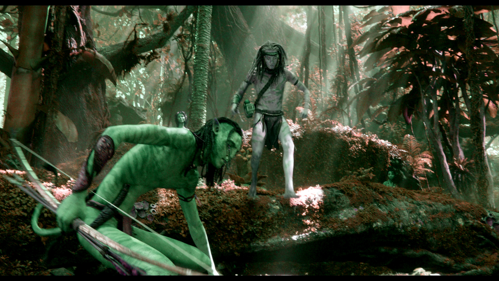 图片[2]-[BT下载][阿凡达：水之道][WEB-MKV/34.10GB][中文字幕][4K-2160P][杜比视界版本][H265编码][流媒体][PandaQT]-影音屋