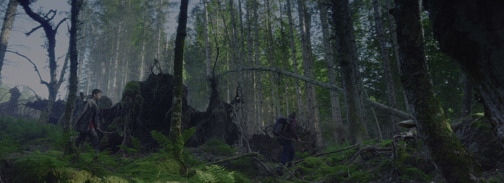 图片[2]-[BT下载][惊变28年][BD-MKV/18.19GB][中文字幕/特效字幕][4K-2160P][HDR+杜比视界双版本][H265编码][蓝光压制][DreamHD]-影音屋