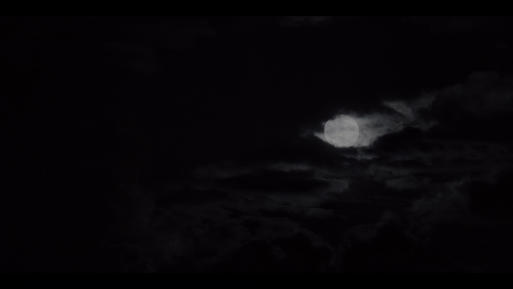 图片[4]-[BT下载][休比的万圣节][WEB-MKV/13.64GB][简繁英字幕][4K-2160P][HDR版本][H265编码][流媒体][QuickIO]-影音屋