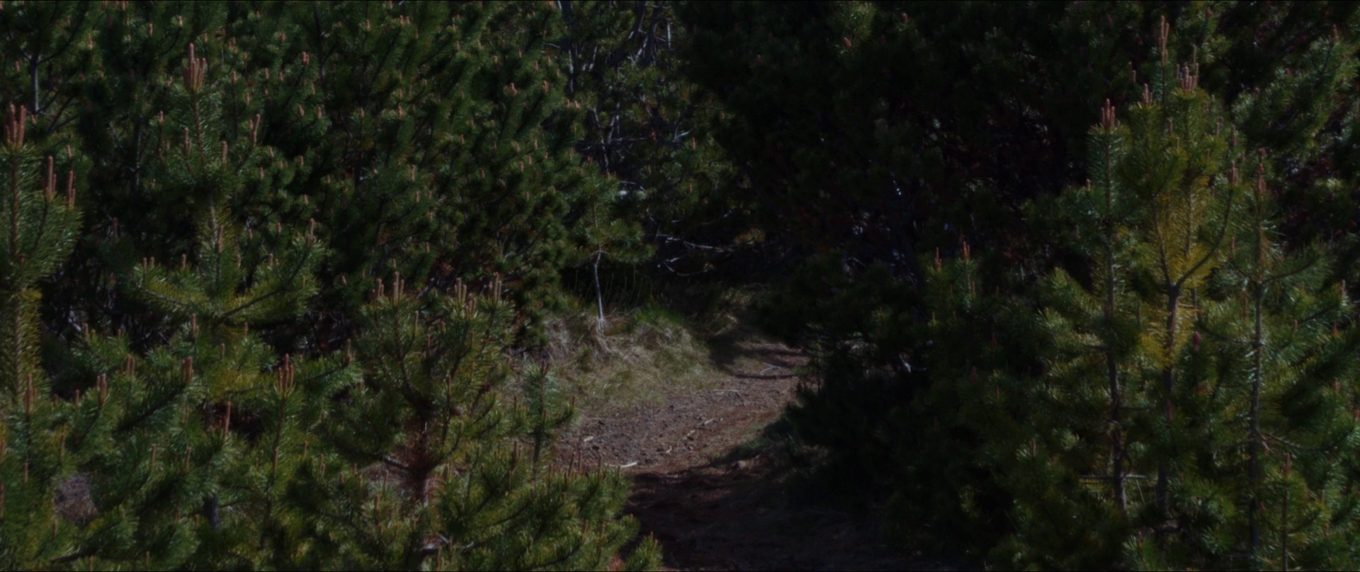 图片[7]-[BT下载][拿破仑行动][BD-MKV/7.62GB][国英多音轨/中文字幕][1080P][蓝光压制][ParkHD]-影音屋