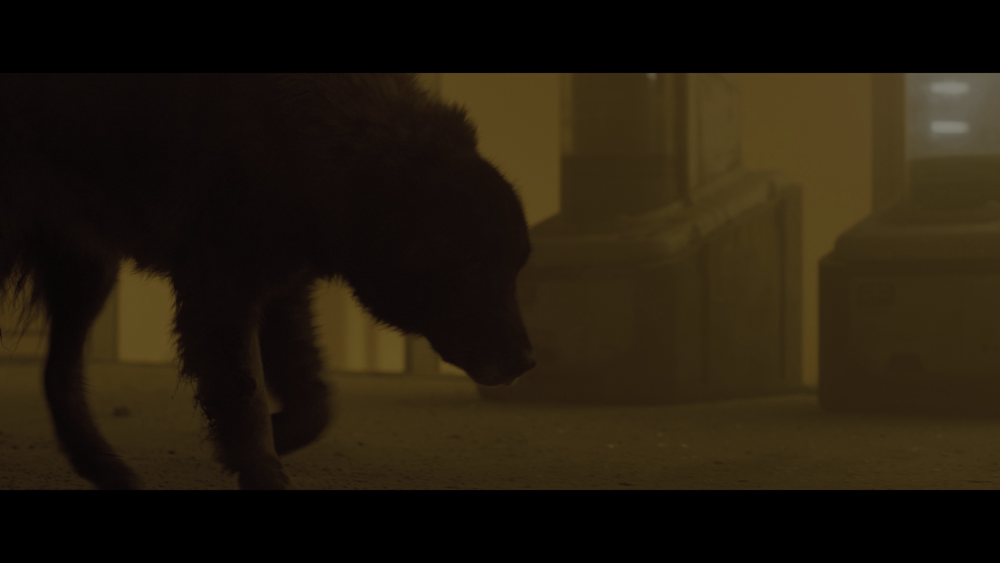 图片[6]-[BT下载][银翼杀手2049][WEB-MKV/28.62GB][简繁英字幕][4K-2160P][HDR版本][H265编码][流媒体][PandaQT]-影音屋