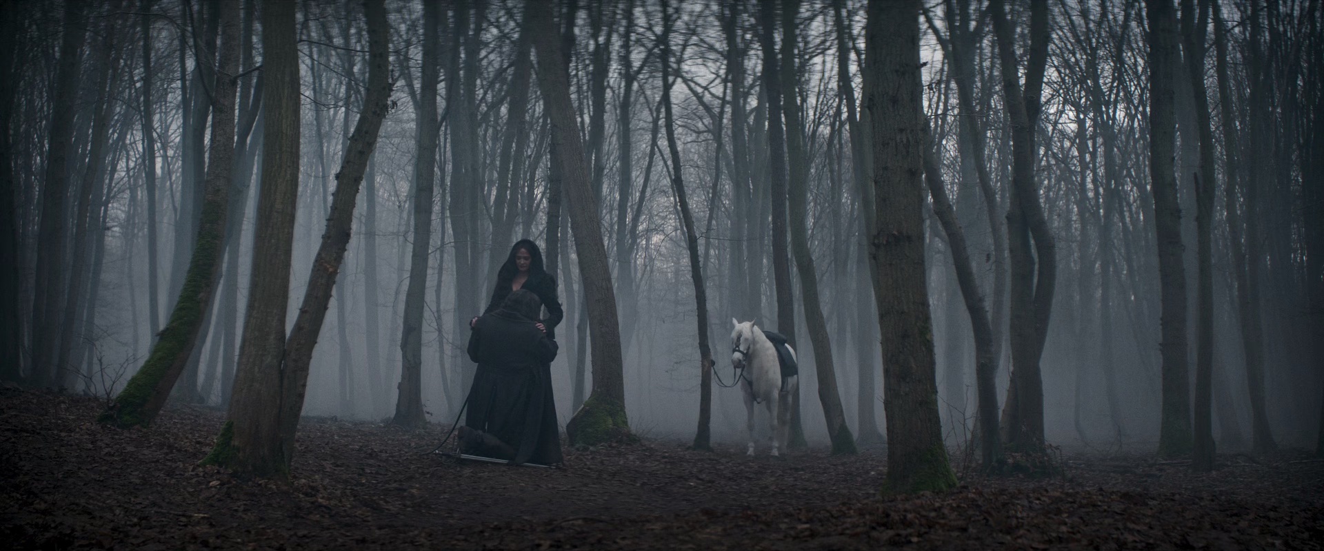 图片[5]-[BT下载][三个火枪手：米莱迪][BD-MKV/11.60GB][中文字幕][1080P][H265编码][蓝光压制][ParkHD]-影音屋