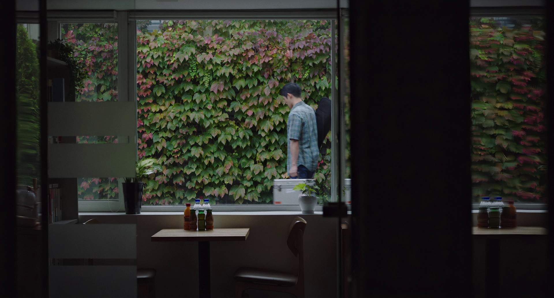 图片[6]-[BT下载][柳烈的音乐专辑][BD-MKV/14.17GB][简繁英字幕][1080P][蓝光压制][CTRLHD]-影音屋