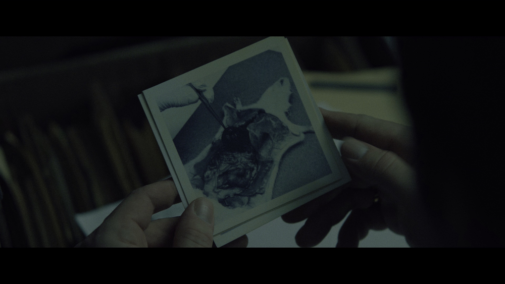 图片[4]-[BT下载][黑水][WEB-MKV/22.07GB][中文字幕][4K-2160P][HDR版本][H265编码][流媒体][PandaQT]-影音屋