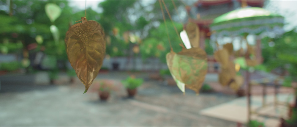 图片[7]-[BT下载][阿龙][WEB-MKV/14.62GB][国语配音][4K-2160P][高码版][H265编码][流媒体][PandaQT]-影音屋