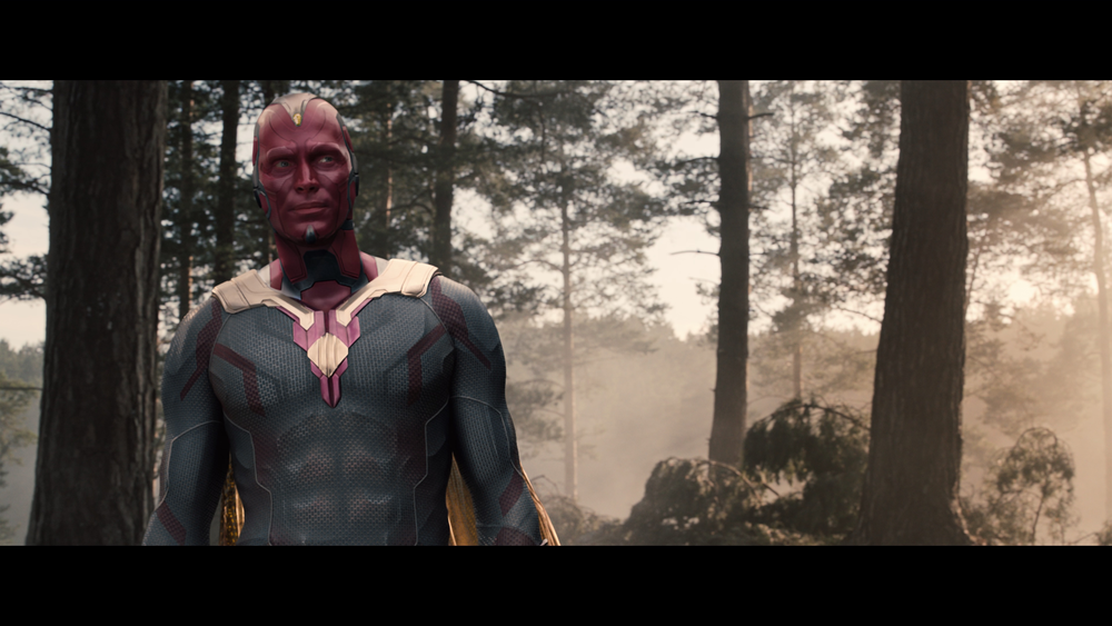 图片[7]-[BT下载][复仇者联盟2：奥创纪元][WEB-MKV/24.66GB][无字片源][4K-2160P][H265编码][流媒体][PandaQT]-影音屋