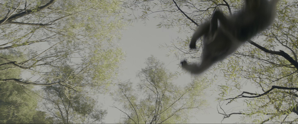 图片[3]-[BT下载][诛仙1][WEB-MP4/20.41GB][国语配音/中文字幕][4K-2160P][高码版][60帧率][HDR版本][H265编码][流媒体][QuickIO]-影音屋