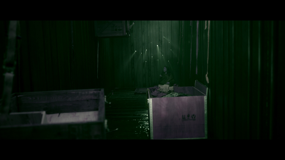 图片[3]-[BT下载][无处逢生][WEB-MKV/13.73GB][简繁英字幕][4K-2160P][杜比视界版本][H265编码][流媒体][QuickIO]-影音屋