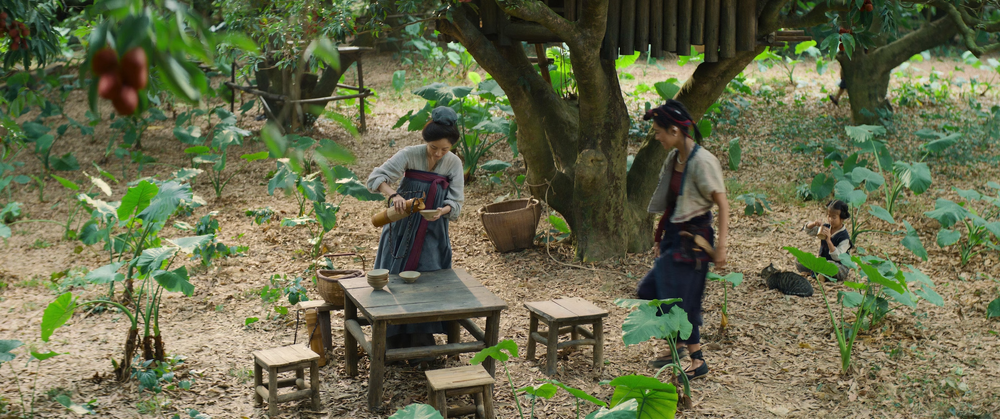 图片[7]-[BT下载][长安的荔枝][WEB-MP4/4.26GB][国语配音/中文字幕][4K-2160P][H265编码][流媒体][QuickIO]-影音屋