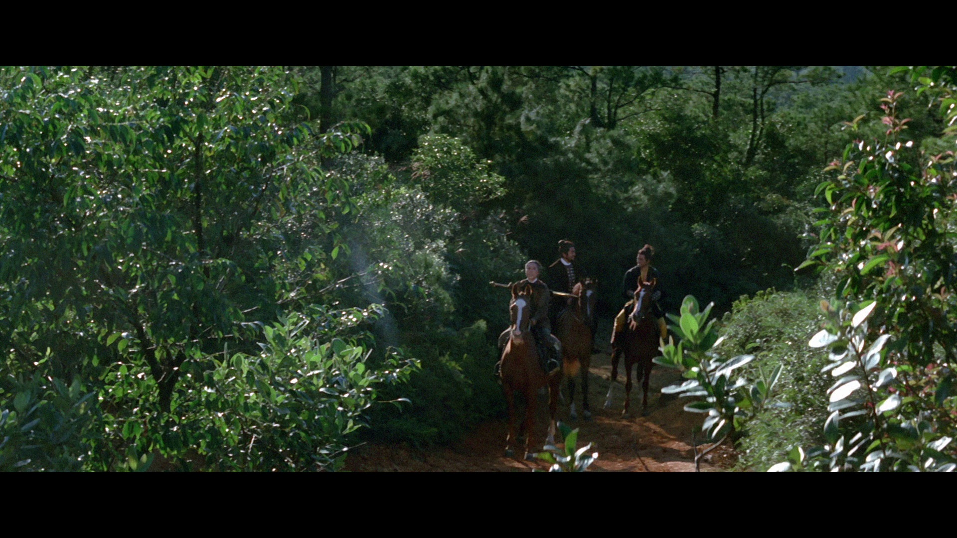 图片[6]-[BT下载][凤飞飞][BD-MKV/22.52GB][国语配音/中文字幕][1080P][蓝光压制][DreamHD]-影音屋