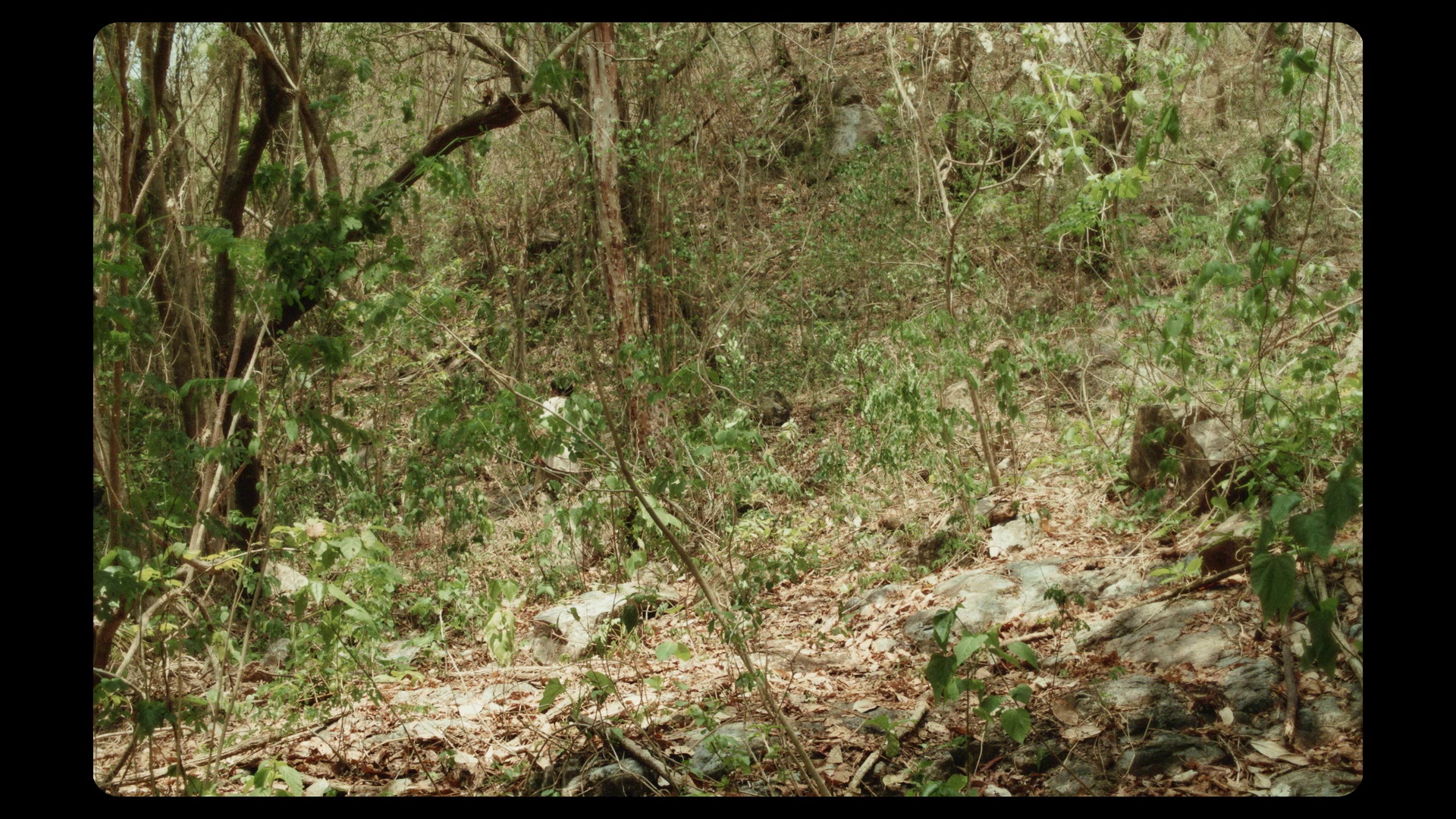 图片[7]-[BT下载][尤里卡][BD-MKV/32.64GB][简繁英字幕][1080P][蓝光压制][DreamHD]-影音屋