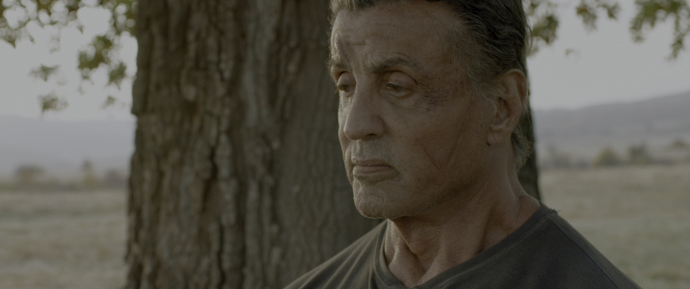 图片[6]-[BT下载][第一滴血5：最后的血][BD-MKV/22.00GB][中文字幕/特效字幕][4K-2160P][HDR+杜比视界双版本][H265编码][蓝光压制][Drea-影音屋