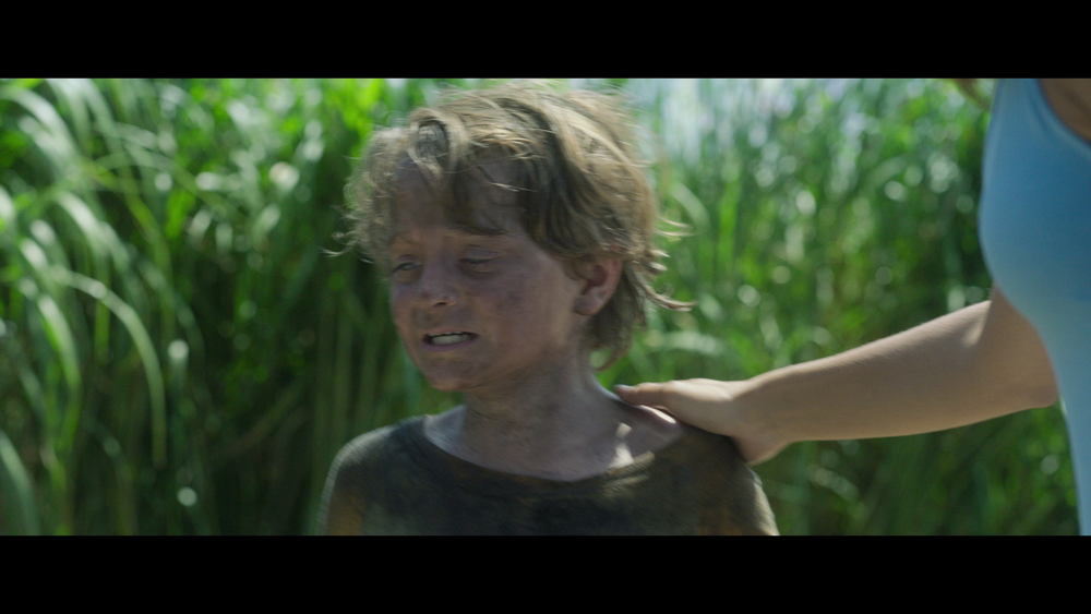 图片[7]-[BT下载][高草丛中][WEB-MKV/13.29GB][简繁英字幕][4K-2160P][H265编码][流媒体][QuickIO]-影音屋