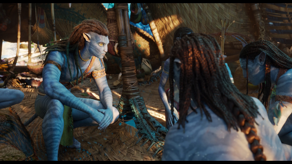 图片[3]-[BT下载][阿凡达：水之道][WEB-MKV/34.09GB][中文字幕][4K-2160P][H265编码][流媒体][PandaQT]-影音屋