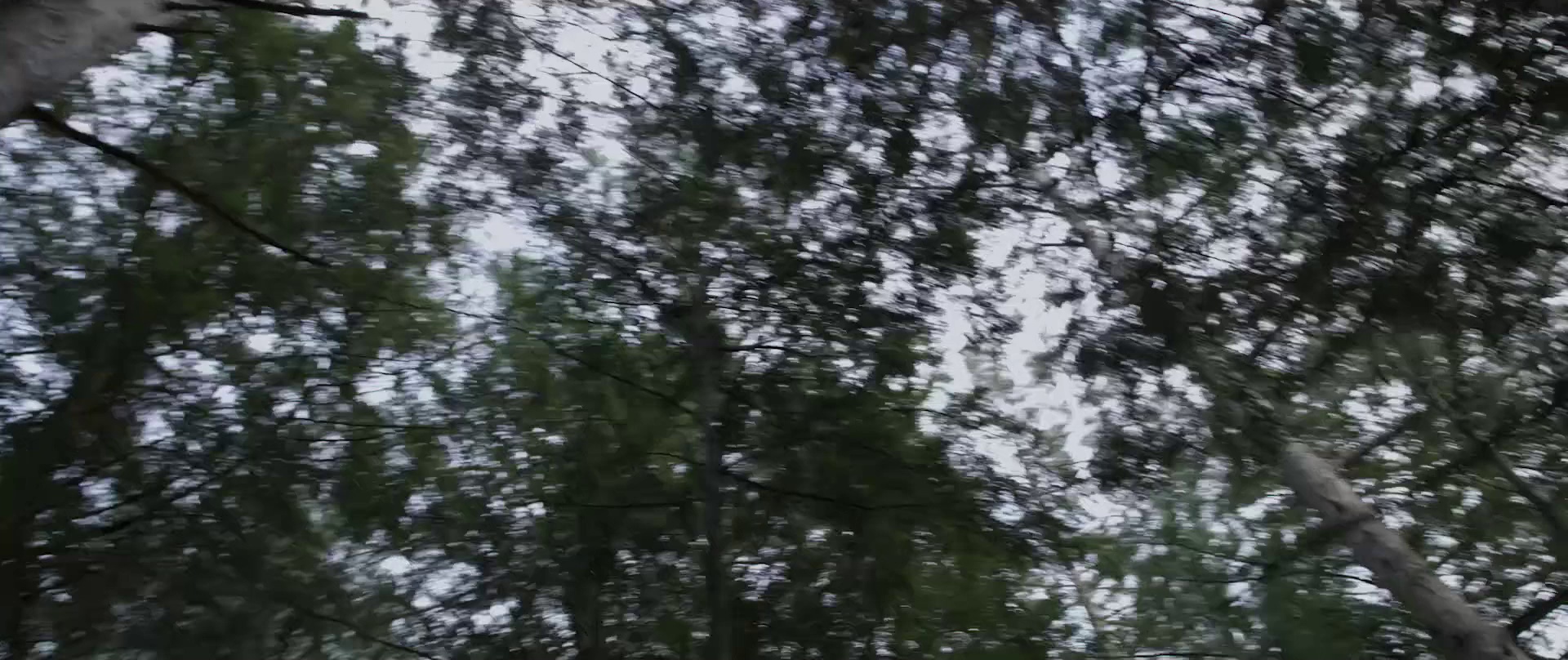 图片[7]-[BT下载][蜜谋逃杀][BD-MKV/8.03GB][简繁英字幕][1080P][蓝光压制][CTRLHD]-影音屋