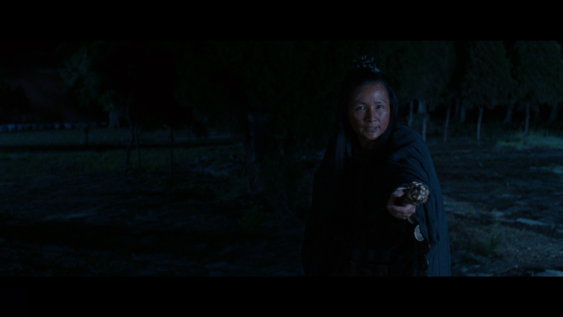 图片[3]-[BT下载][卧虎藏龙][WEB-MKV/6.87GB][中文字幕][1080P][流媒体][PandaQT]-影音屋