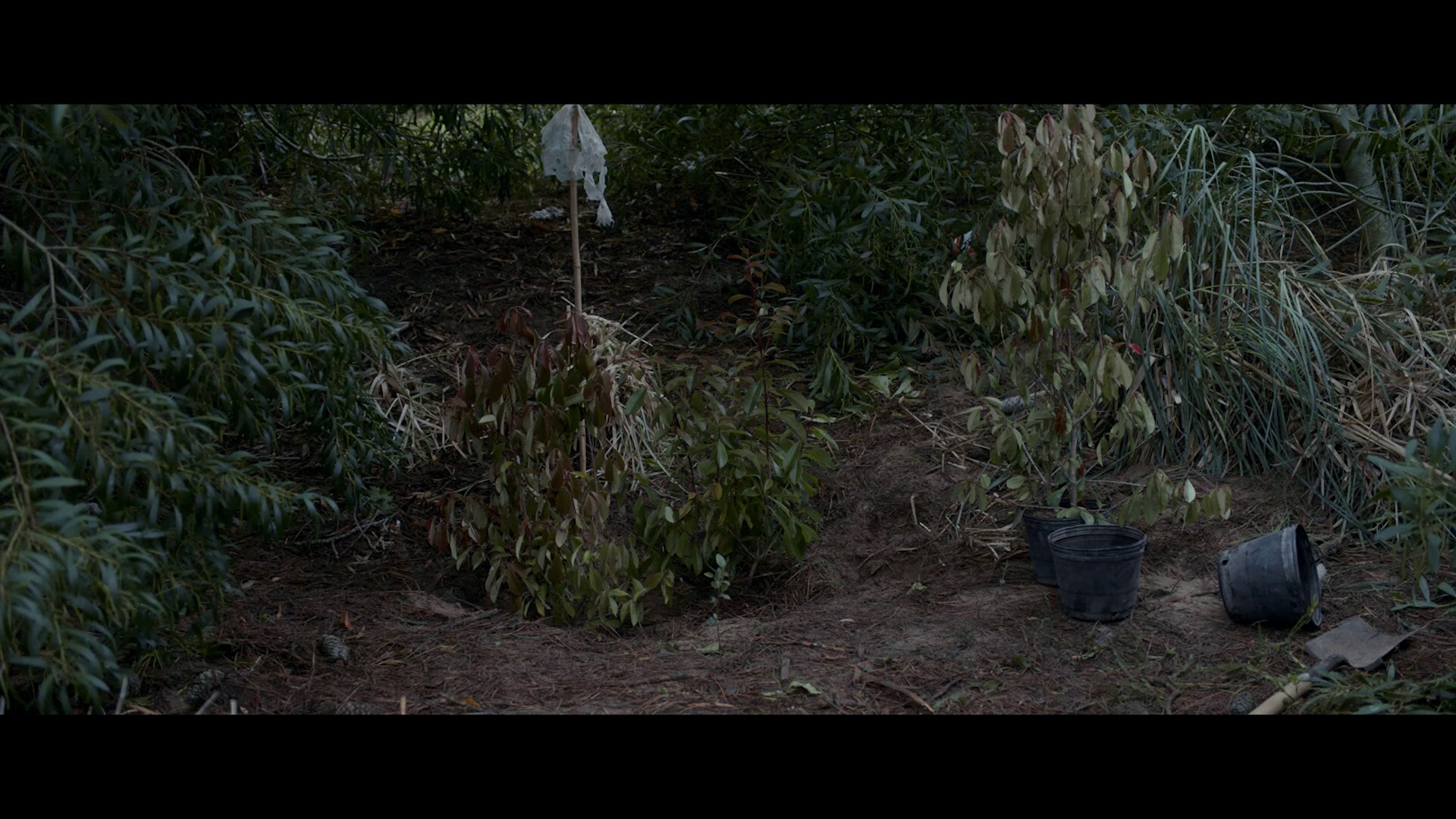 图片[7]-[BT下载][当潮水袭来][WEB-MKV/4.34GB][中文字幕][1080P][30帧率][流媒体][DreamHD]-影音屋