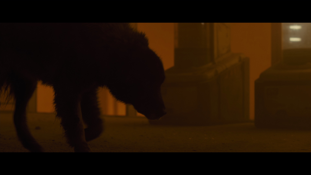 图片[6]-[BT下载][银翼杀手2049][WEB-MKV/28.83GB][简繁英字幕][4K-2160P][H265编码][流媒体][PandaQT]-影音屋