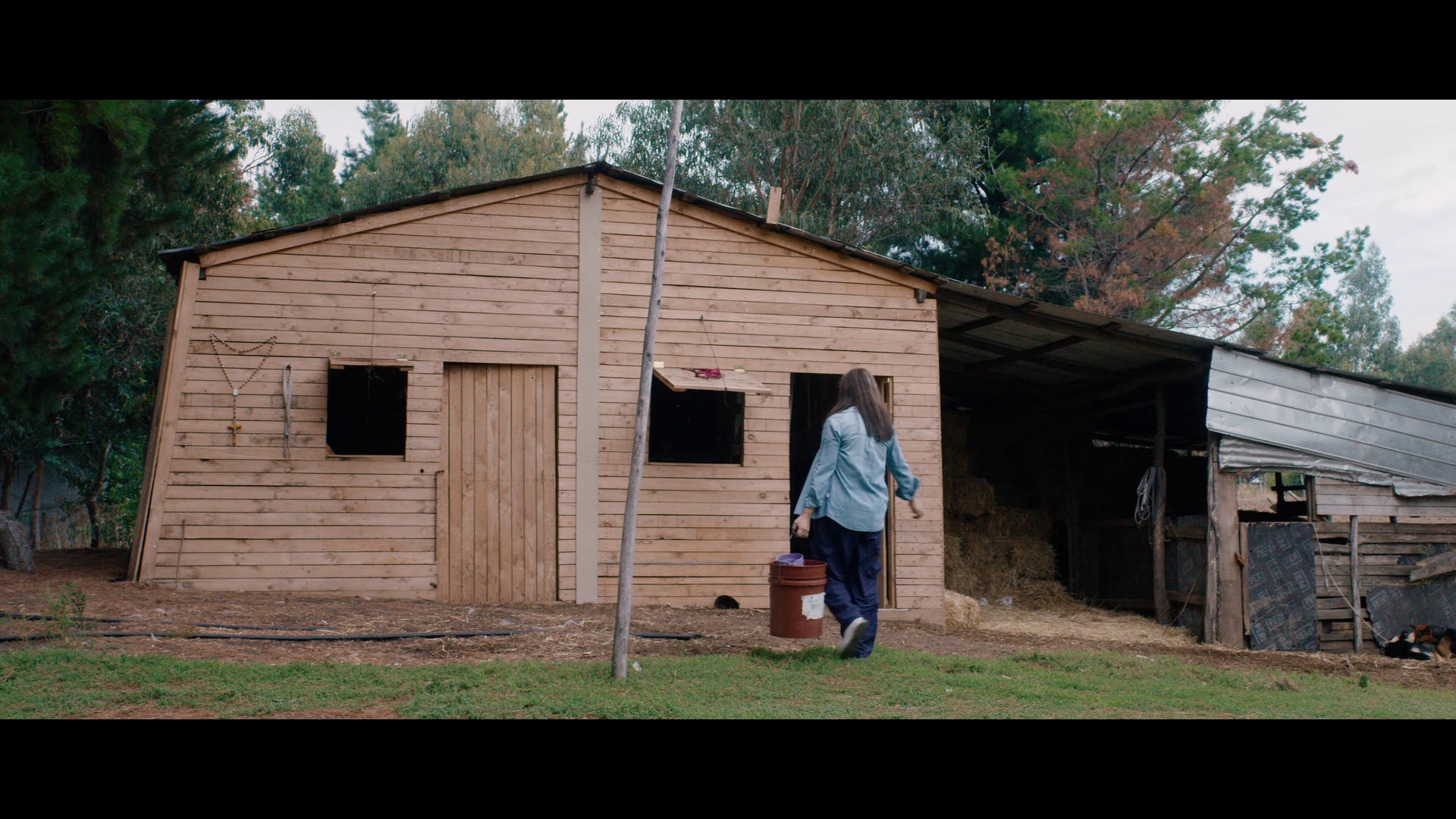 图片[2]-[BT下载][我中彩了：智利农夫的奖金追寻之旅][WEB-MKV/4.37GB][简繁英字幕][1080P][流媒体][PandaQT]-影音屋