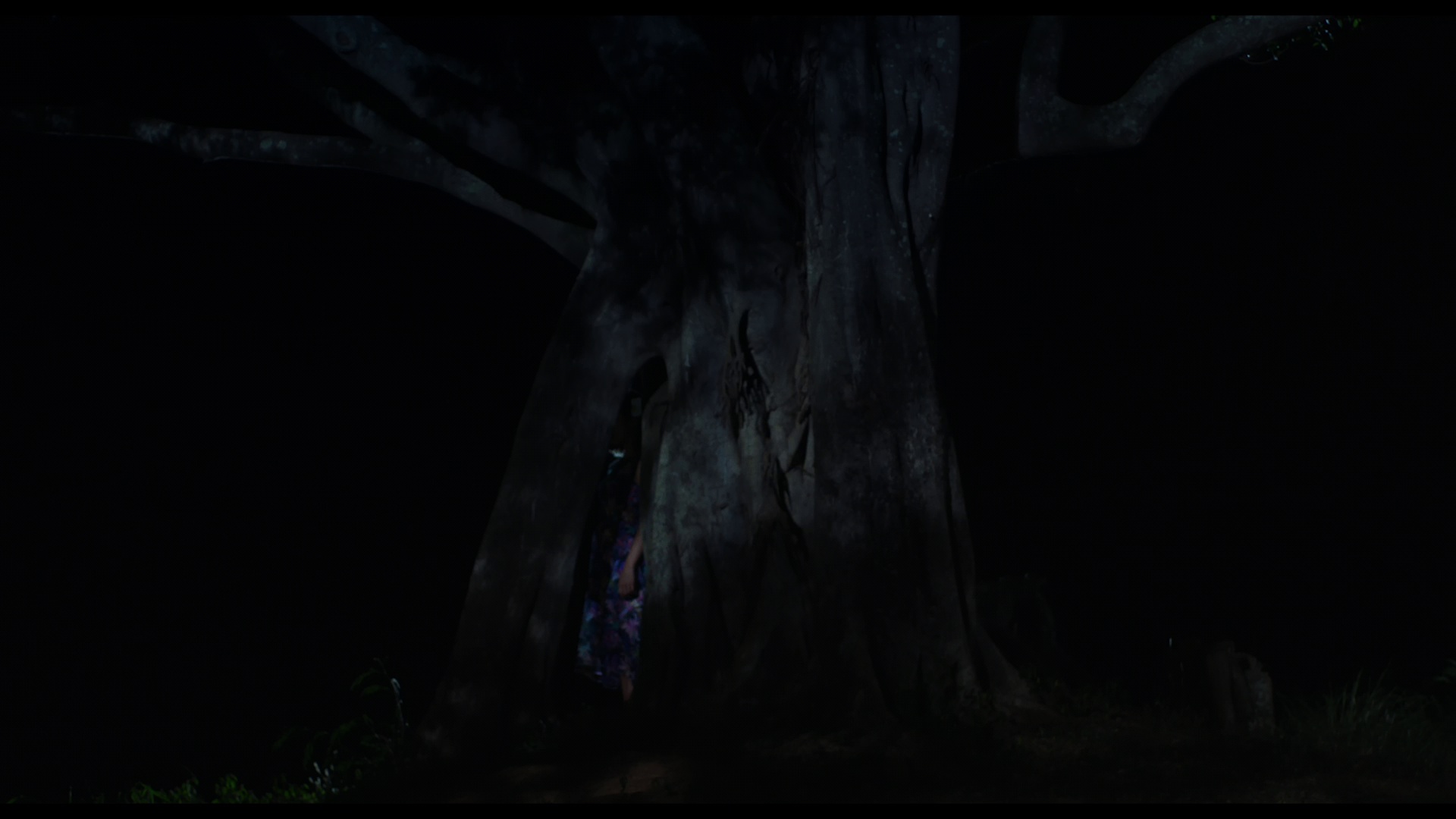 图片[2]-[BT下载][我曾是个简单的人][WEB-MKV/3.46GB][无字片源][1080P][流媒体][DreamHD]-影音屋