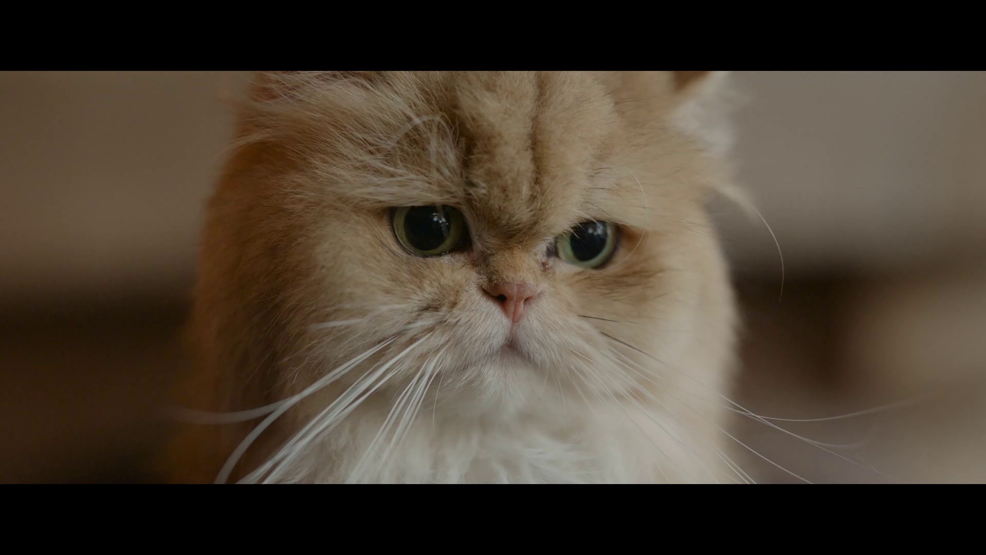 图片[7]-[BT下载][完全燃烧][WEB-MKV/3.16GB][中文字幕][1080P][流媒体][DreamHD]-影音屋