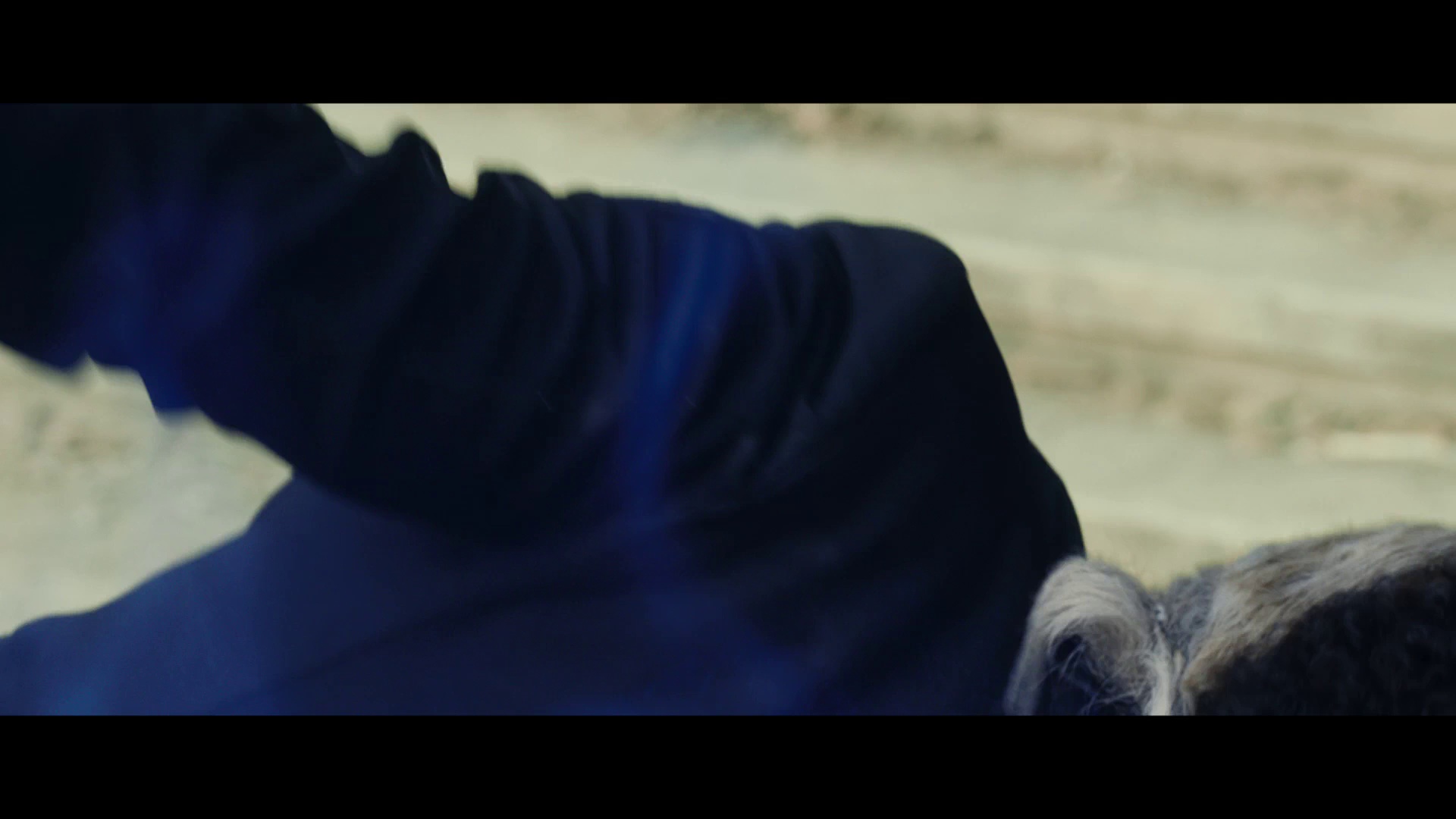 图片[5]-[BT下载][JOJO的奇妙冒险：不灭钻石.第一章][BD-MP4/3.49GB][中文字幕][1080P][蓝光压制][DreamHD]-影音屋