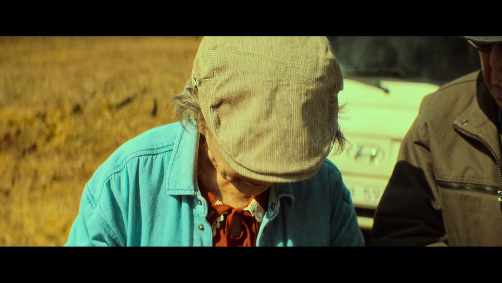 图片[5]-[BT下载][芭蕾复仇曲][WEB-MKV/11.97GB][简繁英字幕][4K-2160P][H265编码][流媒体][QuickIO]-影音屋