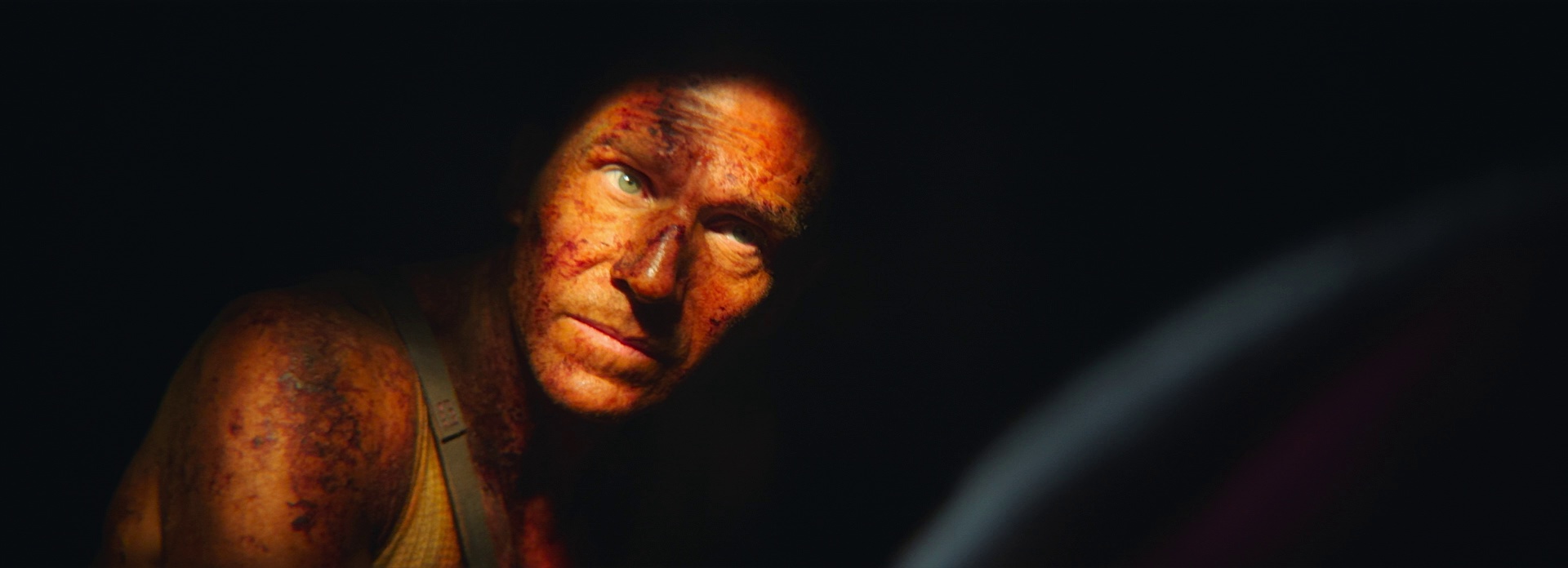 图片[7]-[BT下载][惊变28年][BD-MKV/11.00GB][中文字幕][1080P][蓝光压制][CTRLHD]-影音屋