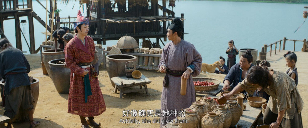 图片[3]-[BT下载][长安的荔枝(电影版)][WEB-MP4/7.29GB][国语/中英字幕][1080P][流媒体]-影音屋