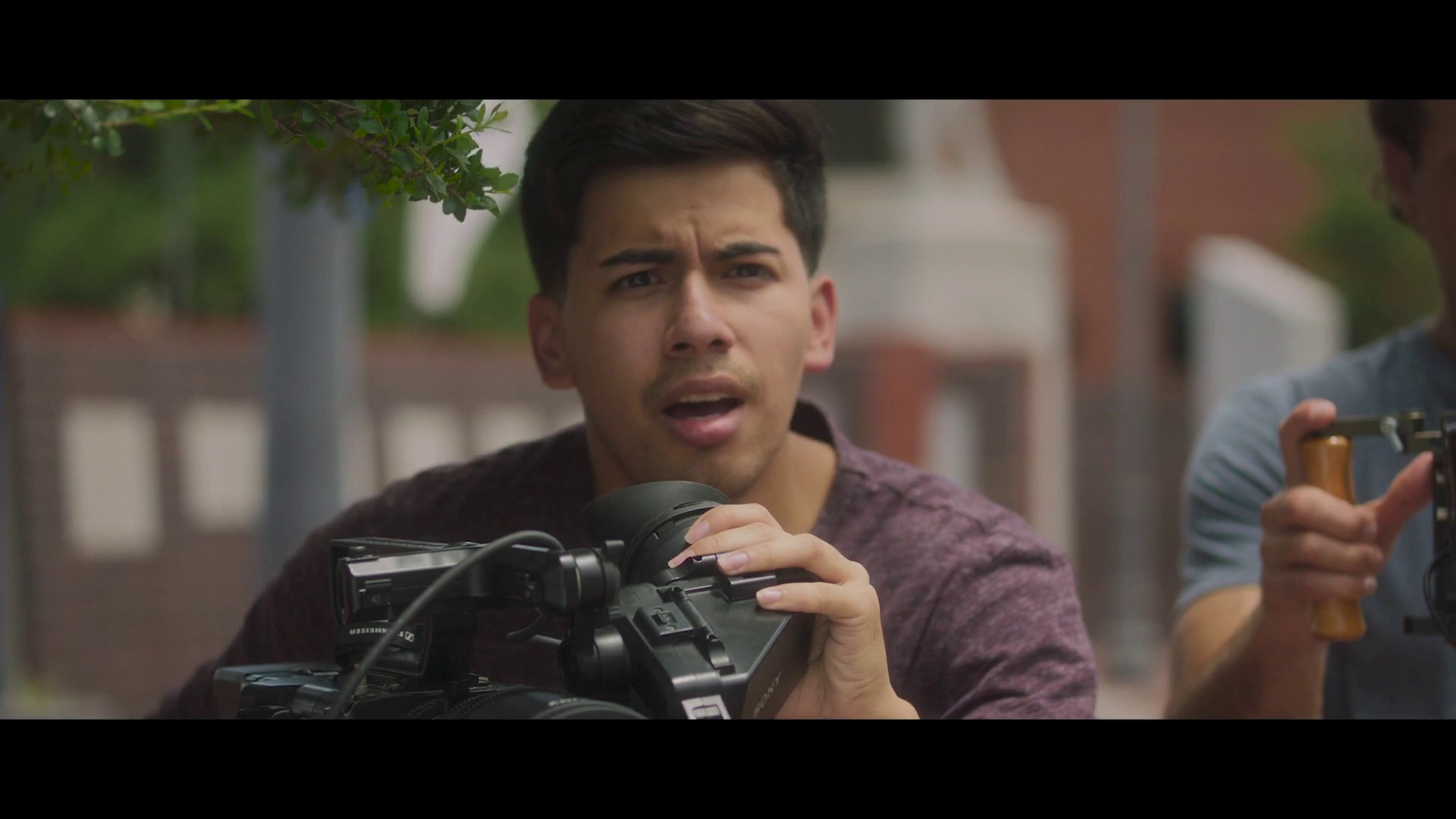 图片[3]-[BT下载][侏罗纪宠物历险记：重返野外][WEB-MKV/4.52GB][中文字幕][1080P][流媒体][DreamHD]-影音屋