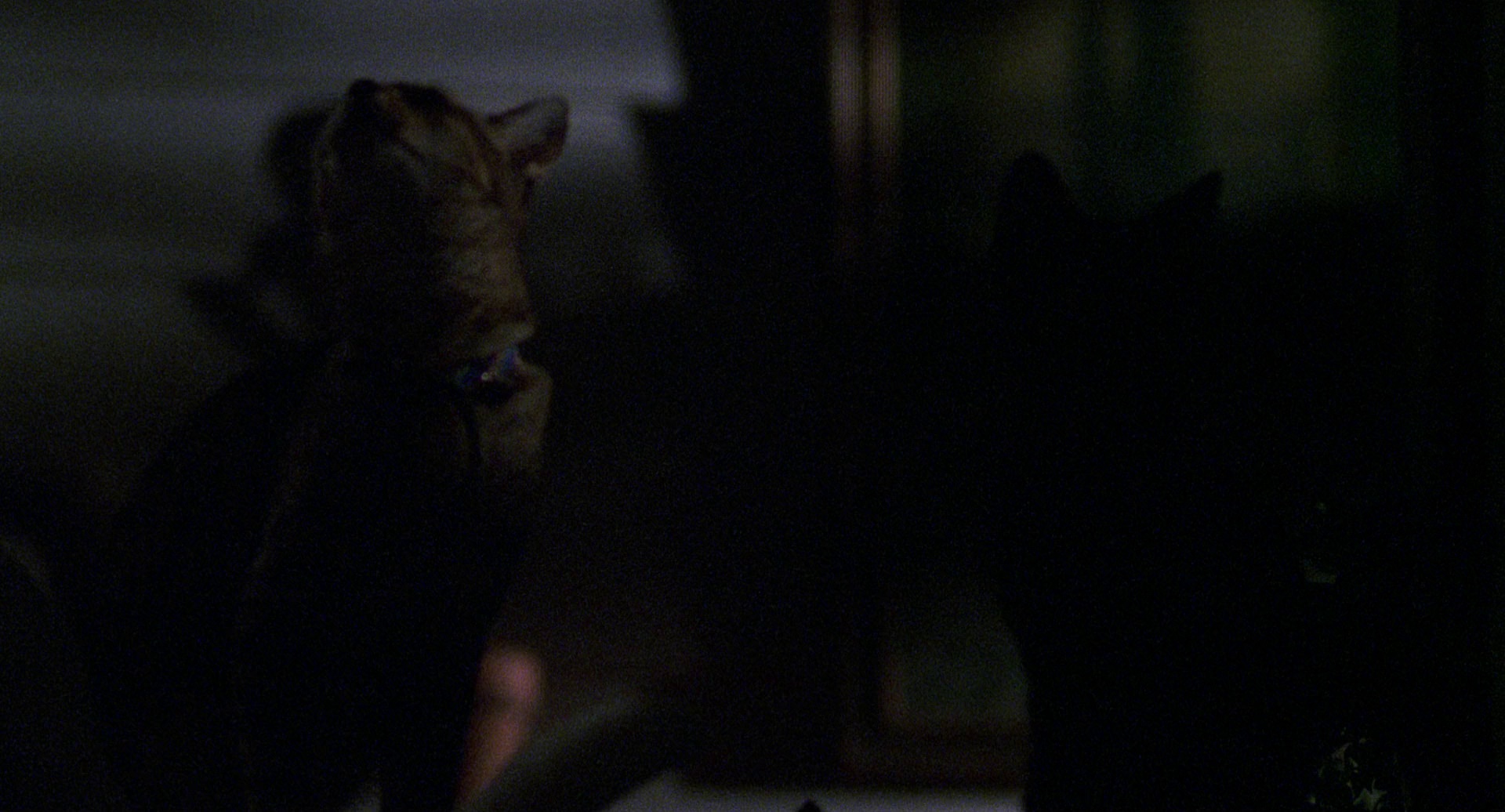 图片[5]-[BT下载][惊心食人族][BD-MKV/8.54GB][简繁英字幕][1080P][蓝光压制][QuickIO]-影音屋